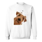 Irish Terrier Sweatshirts