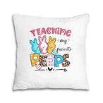 Favorite Teacher Pillows