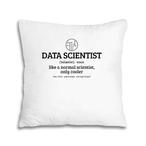 Data Analyst Pillows