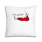 Massachusetts Pillows