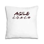 Coach Pillows