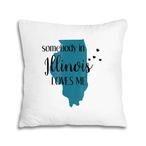 Illinois Pillows
