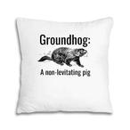Groundhog Pillows