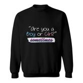 Are You A Boy Or Girl Sometimes Gender Reveal Funny Pregnancy Announcement Mother To Be 1St Mom New Parent New Dad Mom Baby Sweatshirt