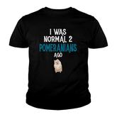 Pomeranian I Was Normal Two Pomeranians Ago Youth T-shirt