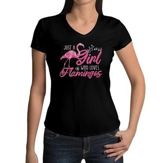 Flamingo Animal Lover Women Girls Gift Tropical Flamingo Women V-Neck T-Shirt | Mazezy