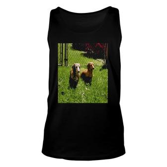 Womens Two Dachshund Pet Lover Unisex Tank Top