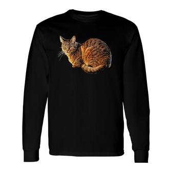 Orange Tabby Cat Tee Long Sleeve T-Shirt T-Shirt | Mazezy