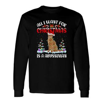 Santa Hat All I Want For Christmas Is A Abyssinian Cat Long Sleeve T-Shirt T-Shirt | Mazezy