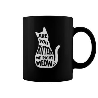 Are You Kitten Me Right Meow Funny Cat Pun Joke Lover Coffee Mug | Mazezy