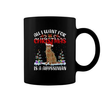 Funny Santa Hat All I Want For Christmas Is A Abyssinian Cat Coffee Mug | Mazezy