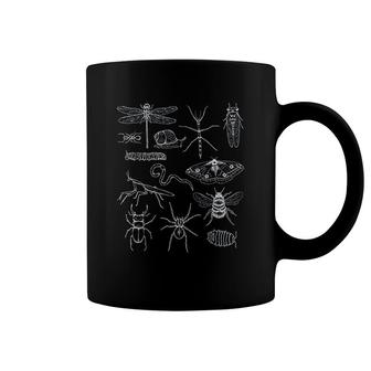 Minibeasts With Insects Coffee Mug | Mazezy