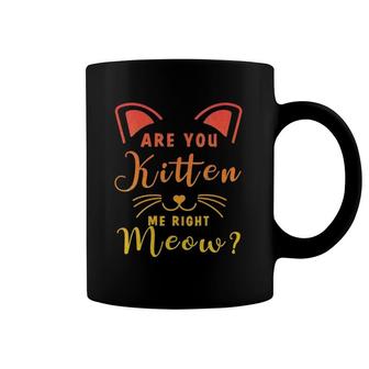 Womens Cat Joke Are You Kitten Me Right Meow Sunset Retro V-Neck Coffee Mug | Mazezy