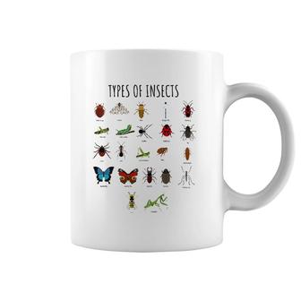 Kids Types Of Insects Bug Identification Science Tee Coffee Mug | Mazezy