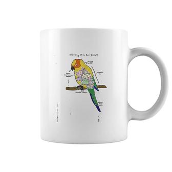 Sun Conure Funny Parrot Anatomy Of A Sun Conure Coffee Mug - Thegiftio UK