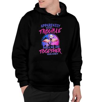 Apparently We're Trouble When We Are Together Who Knew Hoodie | Mazezy