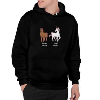 Before Alcohol Horse After Alcohol Unicorn Funny Hoodie - Thegiftio UK