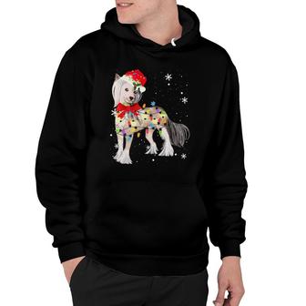 Chinese Crested Dog Christmas Light Xmas Gifts Hoodie | Mazezy