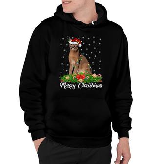 Funny Caracal Animal Matching Santa Caracal Christmas Hoodie | Mazezy