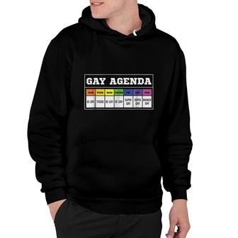 Gay Agenda Hoodie | Mazezy