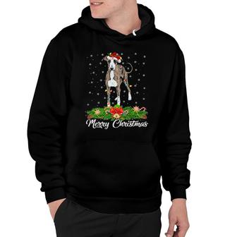 Greyhound Dog Matching Santa Hat Greyhound Christmas Hoodie | Mazezy