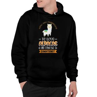 How Am I Supposed To Love Alpacas In These Conditions Hoodie | Mazezy
