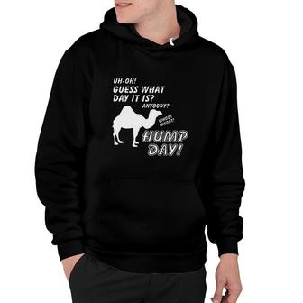 Hump Day Camel Funny Statement Hoodie | Mazezy