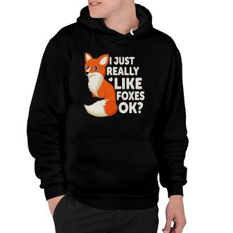 I Just Really Like Foxes Ok Funny Animal Fox Hoodie | Mazezy