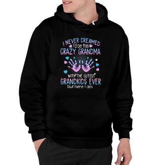 I Never Dreamed I'd Be This Crazy Grandma With The Cutest Grandkids Ever But Here I Am Gift Grandmother Hoodie | Mazezy