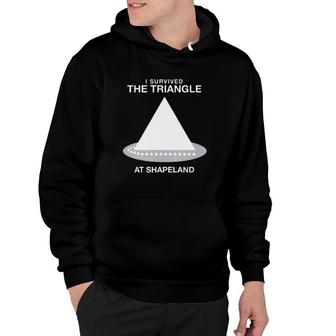 I Survived The Triangle At Shapeland Hoodie | Mazezy
