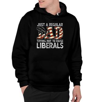 Just A Regular Dad Trying Not To Raise Liberals 4Th July Son Hoodie | Mazezy