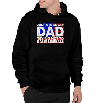 Just A Regular Dad Trying Not To Raise Liberals America Flag Hoodie | Mazezy