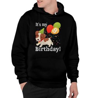 Kids It's My 8Th Birthday Dog Lover Theme 8 Years Old Puppy Party Hoodie | Mazezy