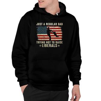 Mens Just A Regular Dad Trying Not To Raise Liberals Father's Day Hoodie | Mazezy
