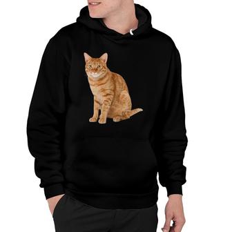 Orange Tabby Cat Lovers Gift Hoodie | Mazezy