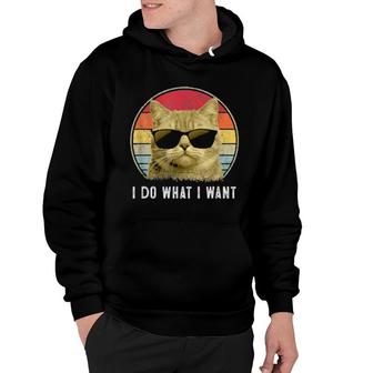 Retro 90S Cats I Do What I Want Cat Cat Hoodie | Mazezy