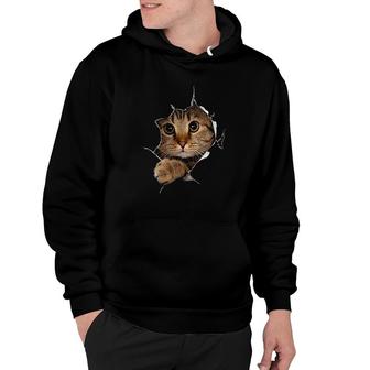 Sweet Kitten Torn Cloth Funny Cat Lover Hoodie - Thegiftio UK