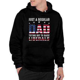 Vintage Just A Regular Dad Trying Not To Raise Liberals Hoodie | Mazezy AU