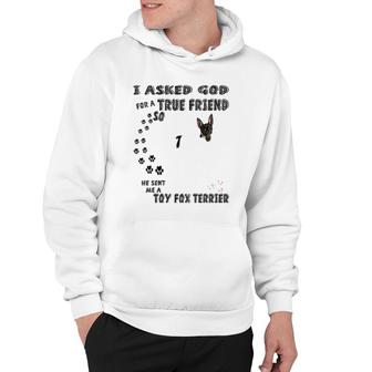 American Toy Fox Terrier Quote Mom Dad Art Cute Amertoy Dog Hoodie | Mazezy