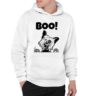 Boo Hiding Hairless Puppy Dog Halloween Chinese Crested Hoodie | Mazezy