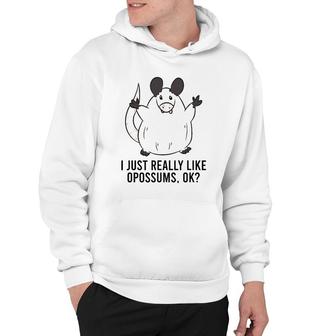 Funny Opossum I Just Really Like Opossums Hoodie | Mazezy