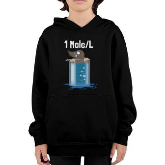 1 Mole - Funny Chemistry Humor Science Teacher Pun Youth Hoodie | Mazezy