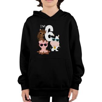 Cool Farm Animals 6Th Birthday Party 6 Years Old Toddler Youth Hoodie | Mazezy