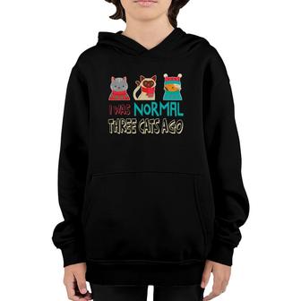 Feline Lover I Was Normal Three Cats Ago Youth Hoodie | Mazezy