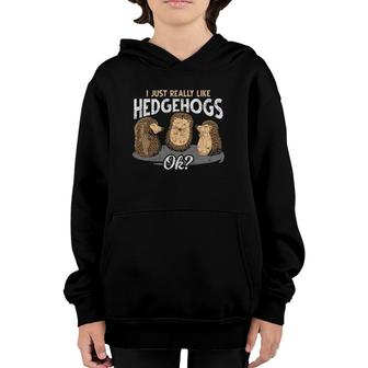 Forest Animal Hedgehog Just Really Like Hedgehogs Youth Hoodie | Mazezy