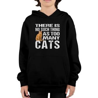 Funny Cat T No Such Thing As Too Many Cats Tee Youth Hoodie | Mazezy