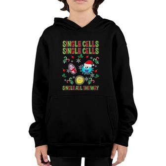 Funny Christmas Gifts For Science Biology Teachers Students Youth Hoodie | Mazezy