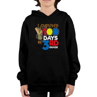 I Survived 100 Days Of 3Rd Grade Funny 100 Days Of School Youth Hoodie | Mazezy
