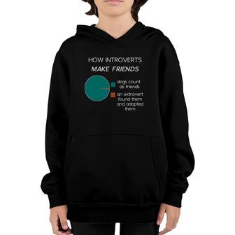 Introvert Funny Introverts Pie Chart Meme Youth Hoodie | Mazezy