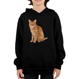 Orange Tabby Cat Lovers Gift Youth Hoodie | Mazezy